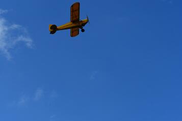DSC_5004 null