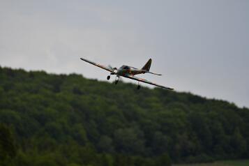 DSC_5153 null